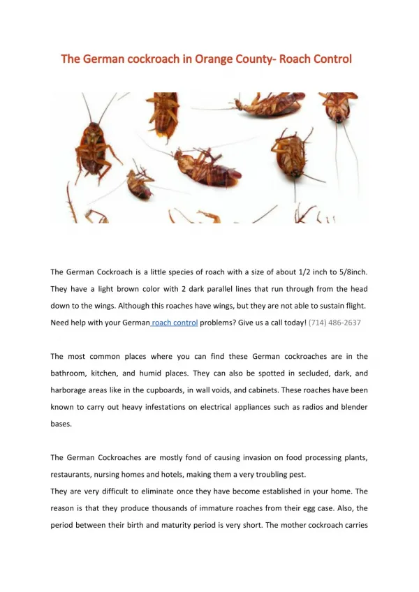 The German cockroach in Orange County- Roach Control