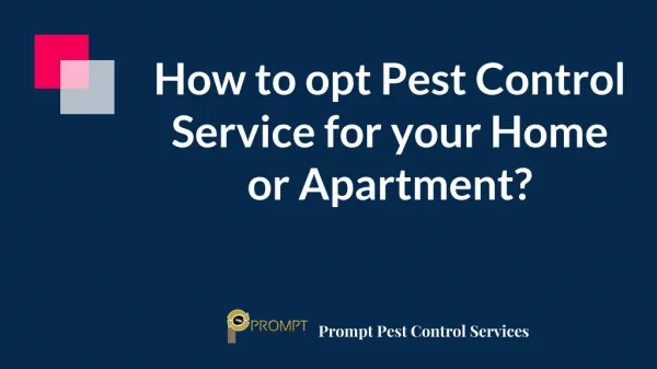 How to opt pest control service for your Home or Apartment?