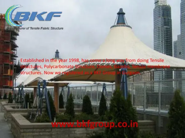 Tensile structure - Tensile Fabric Structure