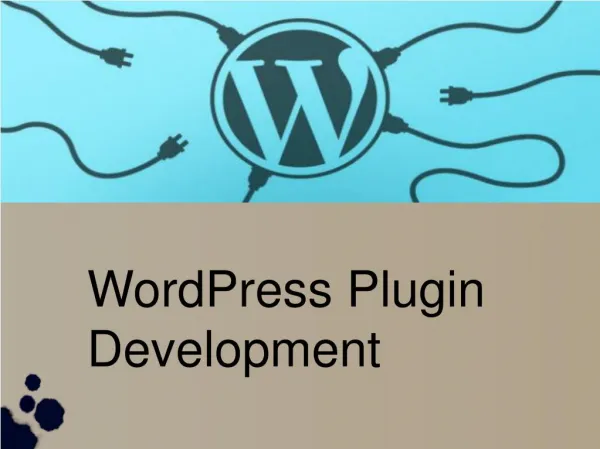 Reliable WordPress Plugin Services