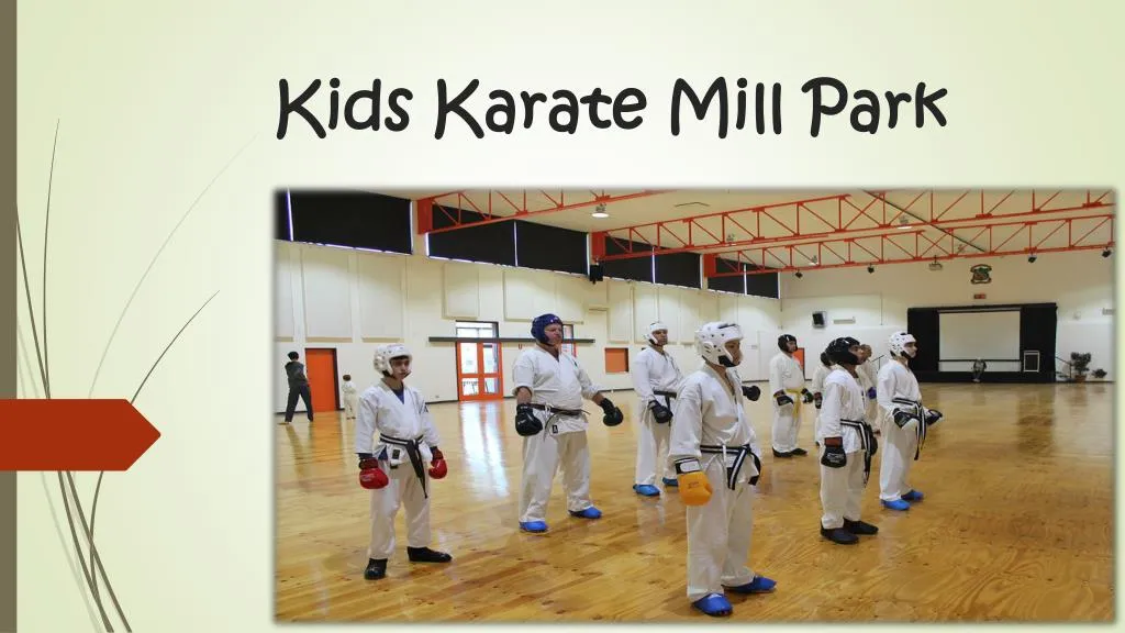 kids karate mill park