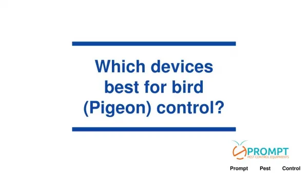 Which devices best for bird (Pigeon) control?