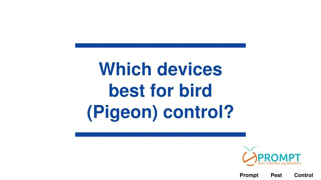 which devices best for bird pigeon control
