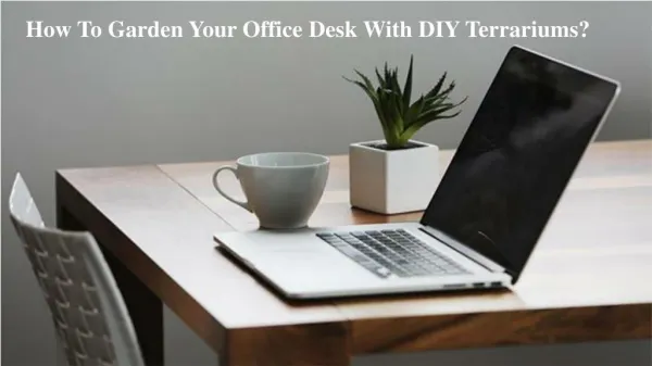 How To Garden Your Office Desk With DIY Terrariums?