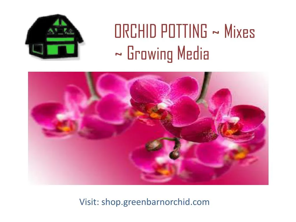 orchid potting mixes growing media
