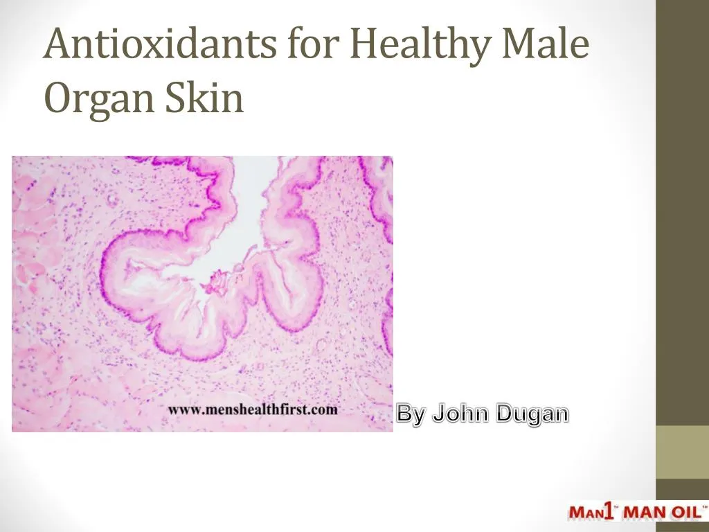 antioxidants for healthy male organ skin