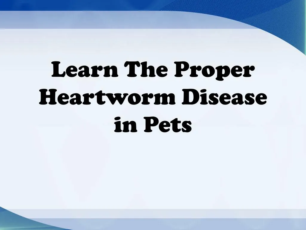 learn the proper heartworm disease in pets