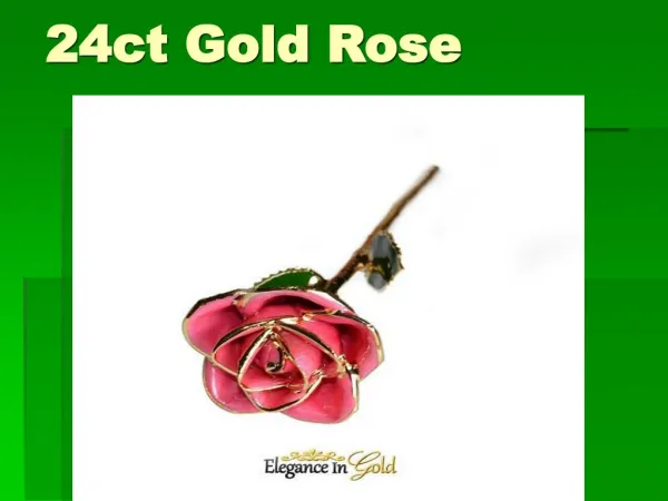 24ct Gold Rose