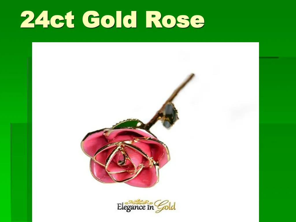 24ct gold rose