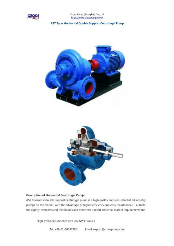 AST Type Horizontal Double Support Centrifugal Pump