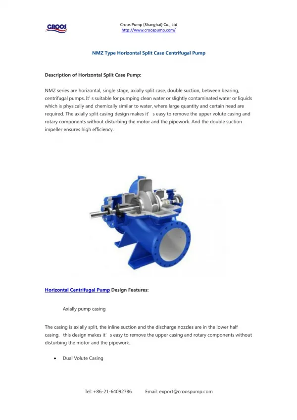 NMZ Type Horizontal Split Case Centrifugal Pump