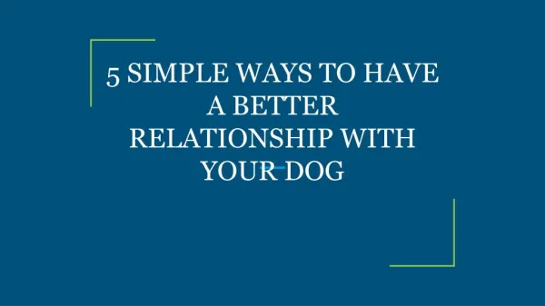 5 SIMPLE WAYS TO HAVE A BETTER RELATIONSHIP WITH YOUR DOG