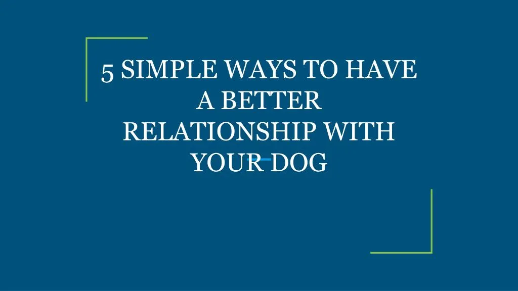 5 simple ways to have a better relationship with your dog