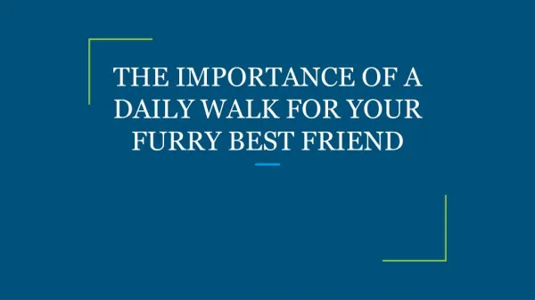 THE IMPORTANCE OF A DAILY WALK FOR YOUR FURRY BEST FRIEND