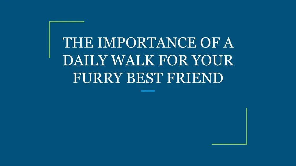 the importance of a daily walk for your furry best friend
