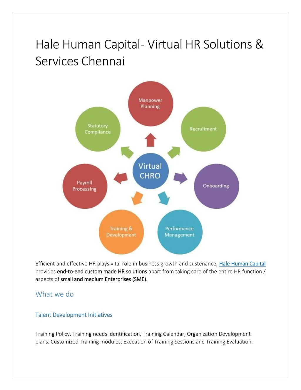 hale human capital virtual hr solutions services