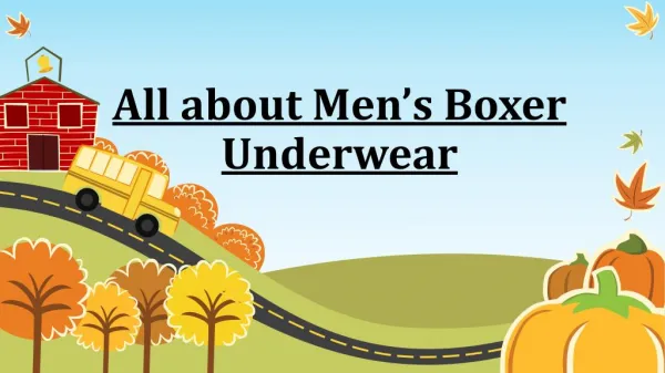 Mens Boxer Underwear - Things You Should Know