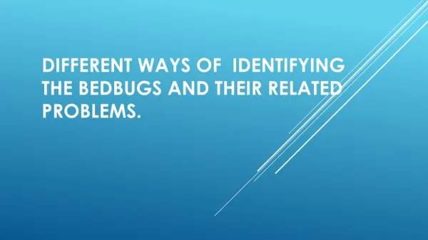 Ways To Identify Bedbugs & Their Related Problems