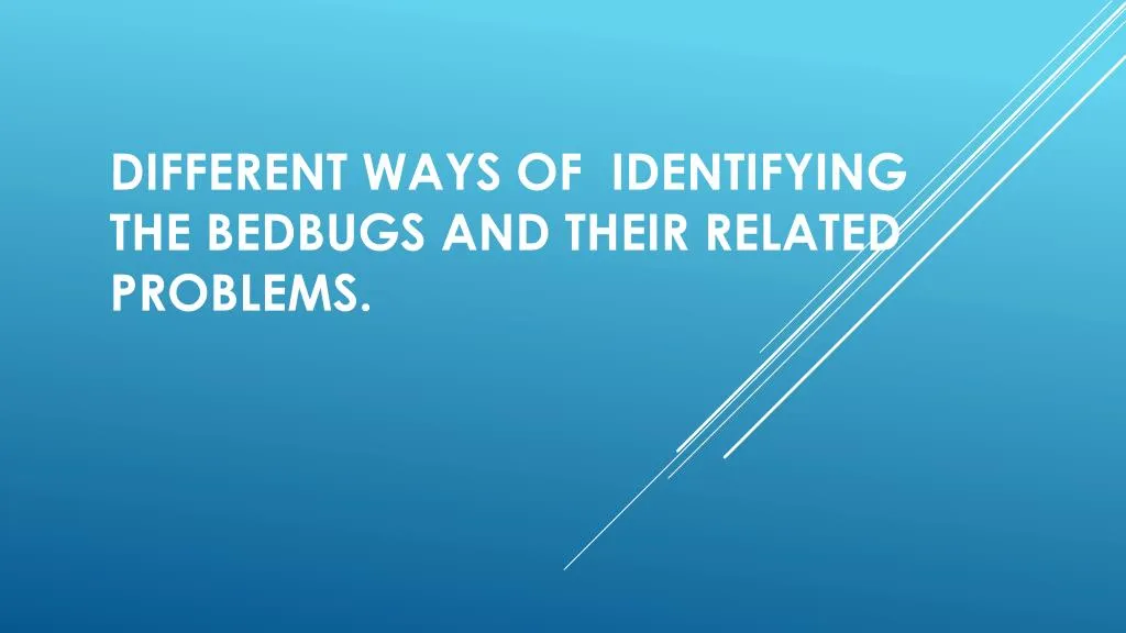 different ways of identifying the bedbugs and their related problems