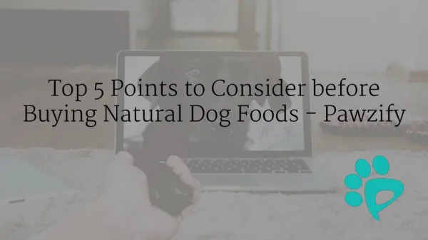 Top 5 Points to Consider before Buying Natural Dog Foods – Pawzify