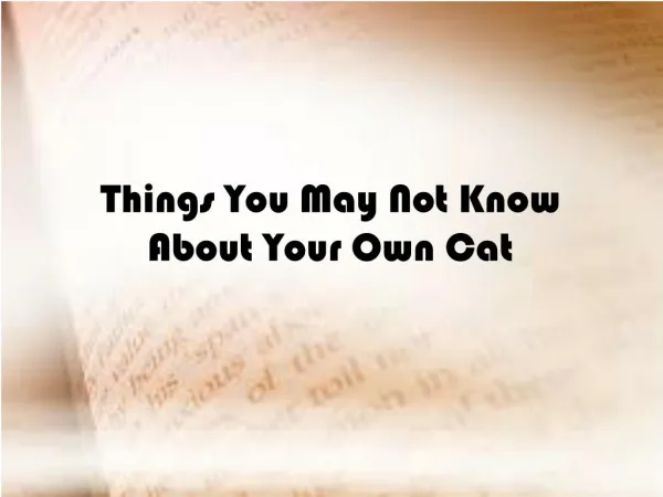 Things You May Not Know About Your Own Cat