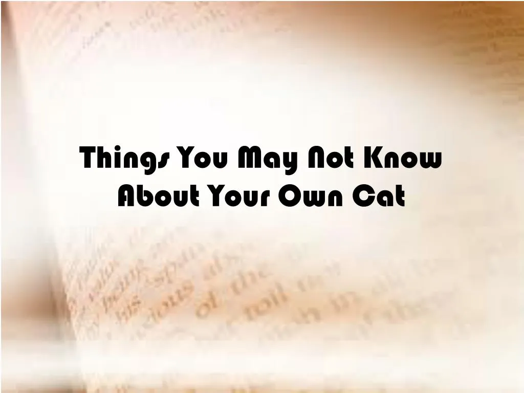 things you may not know about your own cat