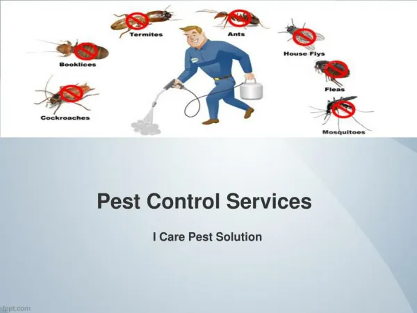 Best pest control services in Bhopal