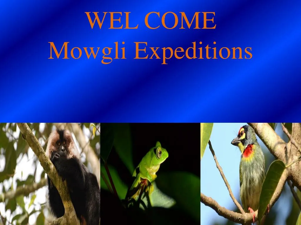 wel come mowgli expeditions
