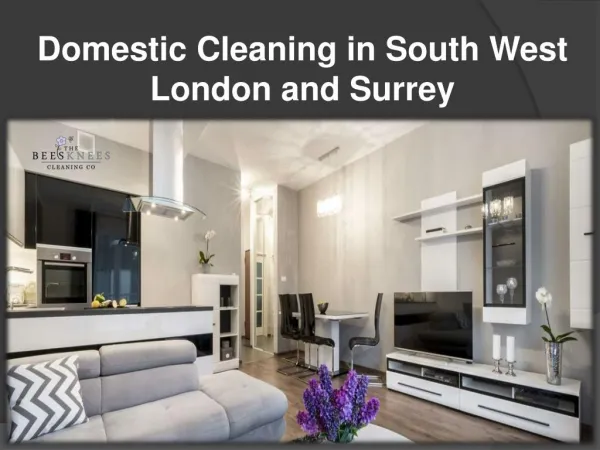Domestic Cleaning in South West London and Surrey
