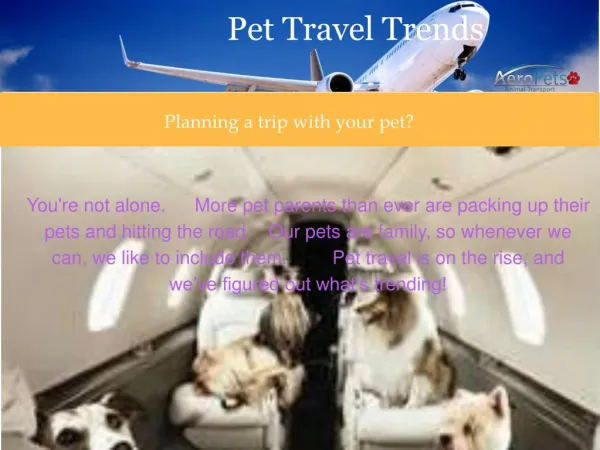 Planning A Trip With Your Furry Friend ?