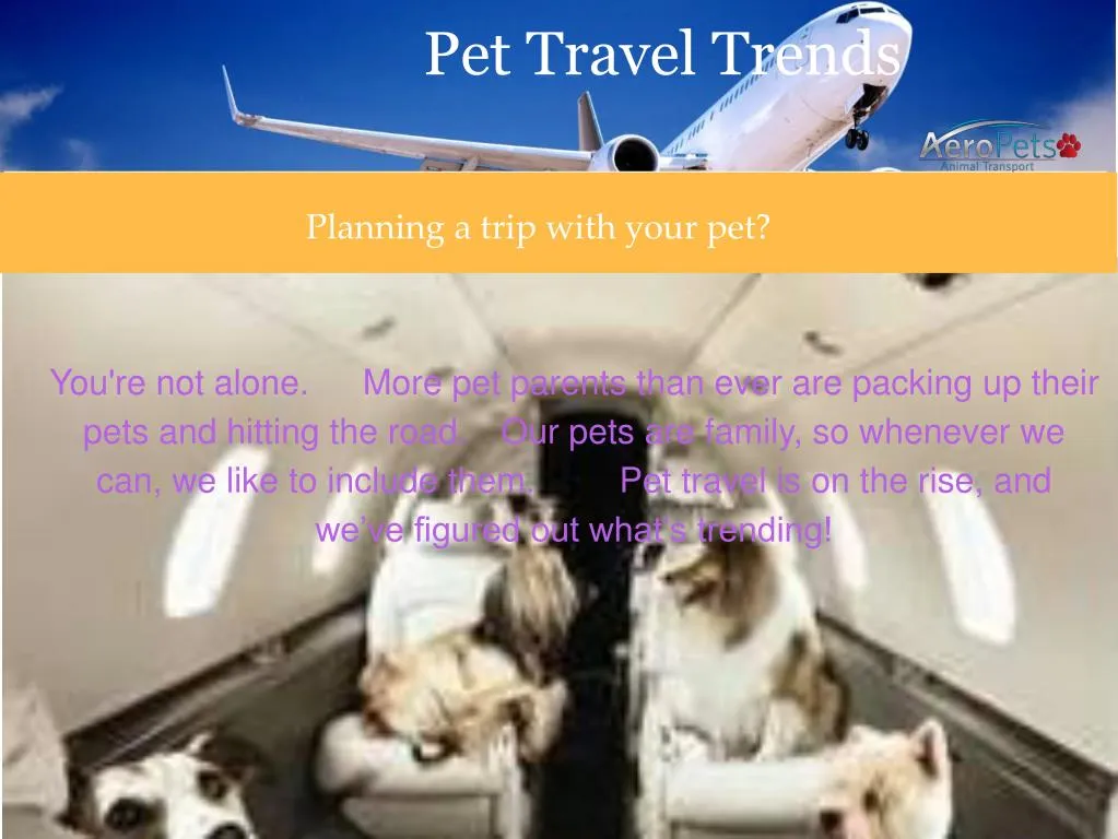pet travel trends