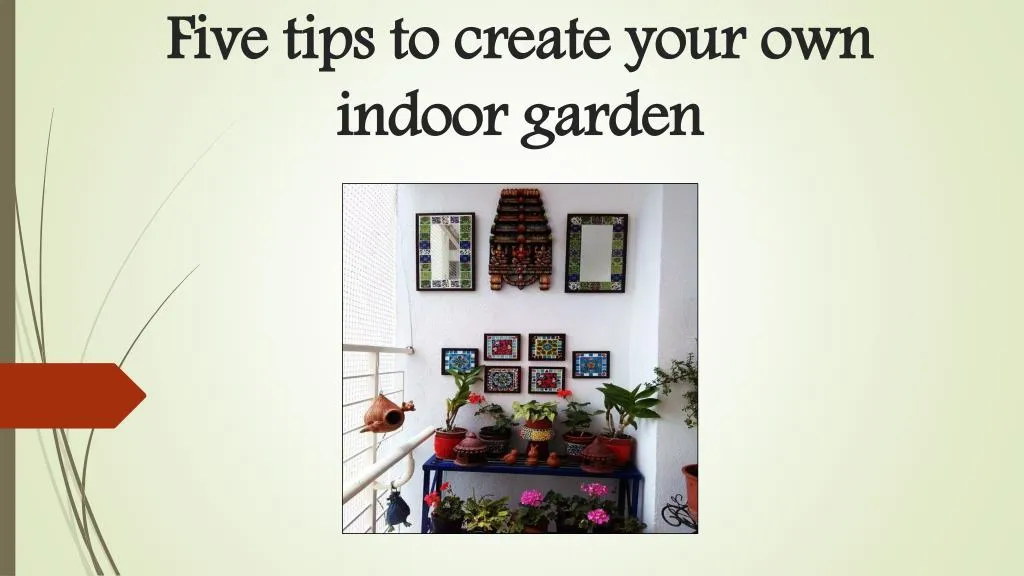 five tips to create your own indoor garden