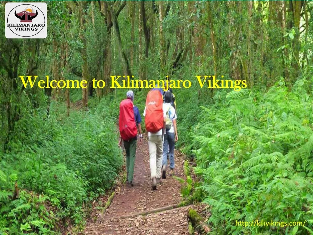 welcome to kilimanjaro vikings