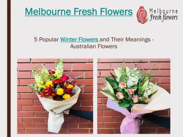 Send Winter Flowers to Australia– Melbourne Fresh Flowers