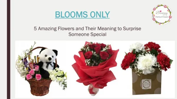 Send Flowers Online to Surprise Someone Special – Blooms Only