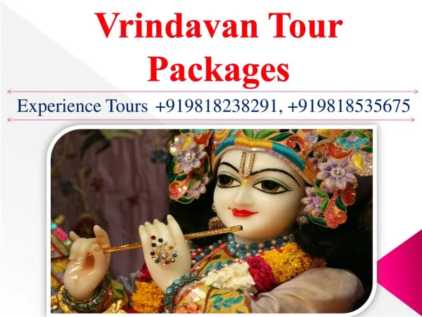 Mathura Vrindavan same day Tour Package