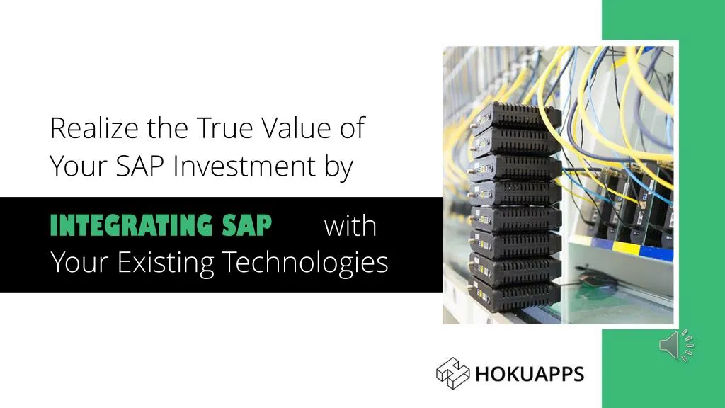 realize the true value of your sap investment by