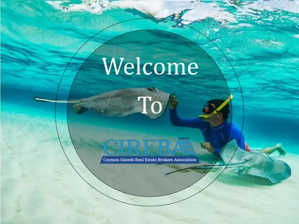 The best way to Invest in the Cayman Islands is with the help of CIREBA