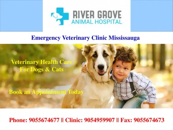 Emergency Veterinary Clinic Mississauga