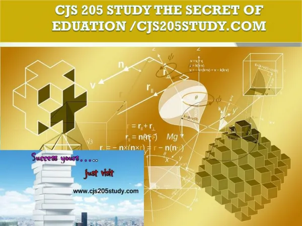 CJS 205 STUDY The Secret of Eduation /cjs205study.com