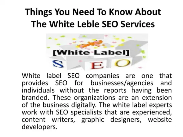 Things You Need To Know About the White Leble SEO Services