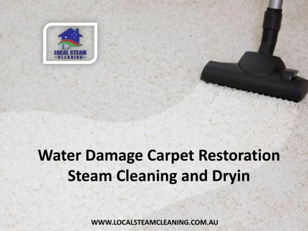 Water Damage Carpet Restoration, Steam Cleaning and Dryin