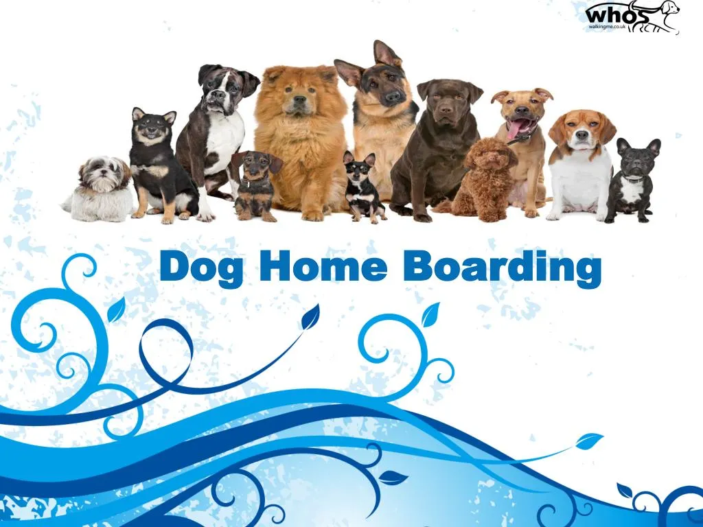 dog home boarding