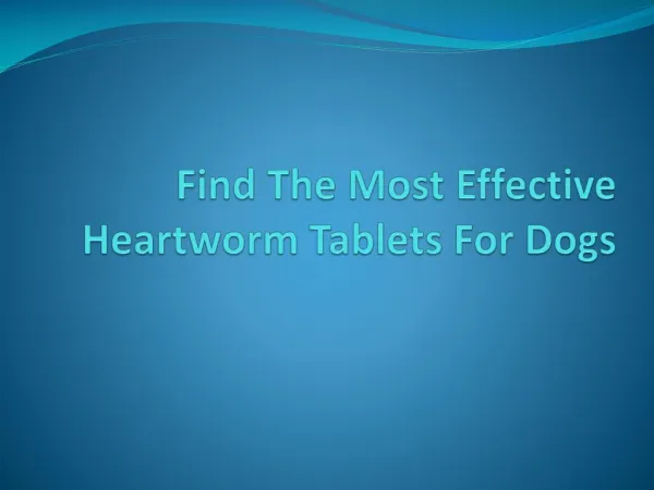 Find The Most Effective Heartworm Tablets For Dogs