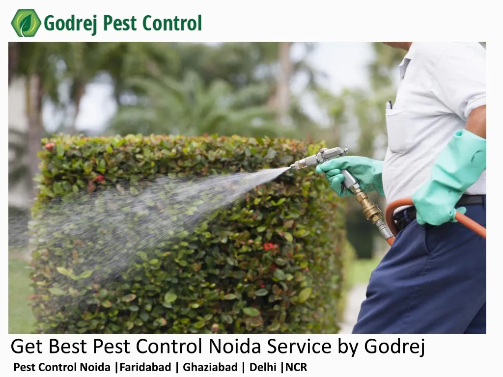 PPT - Get Best Pest Control Noida Service By Godrej PowerPoint ...