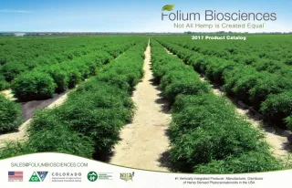 Folium Biosciences - CBD Manufacturer & Distributor - slide 1