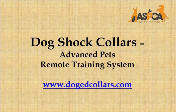 Dog shock collars – Advanced pets remote training system