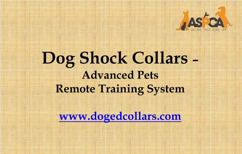 dog shock collars advanced pets remote training