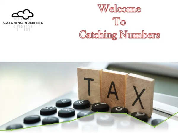 Accounting Bookkeeping Service | Catching Numbers