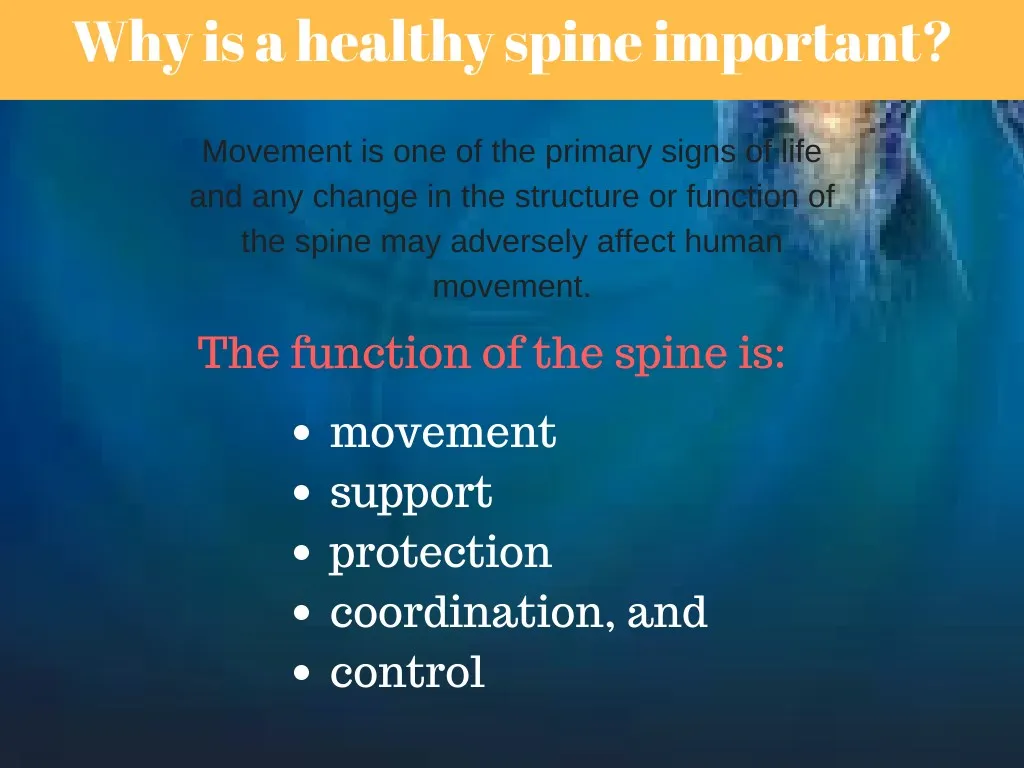 why is a healthy spine important